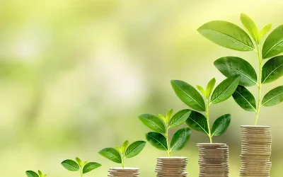 The Hidden Cost of Silence: 3 Strategic Reasons You Need Continuous Brand Investment Today